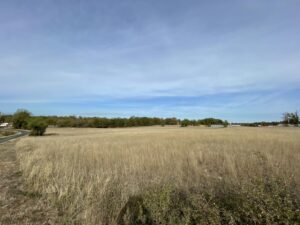 VENTE TERRAIN NESPOULS